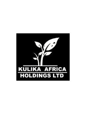 Wobayila Wobayila, Kulika Africa Holdings Limited